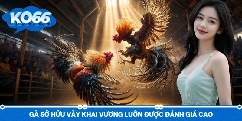 Chiến binh sở hữu vảy Khai Vương luôn được đánh giá cao