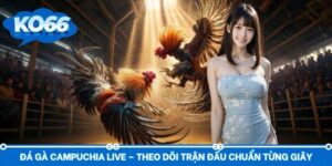 Đá Gà Campuchia Live – Theo Dõi Trận Đấu Chuẩn Từng Giây