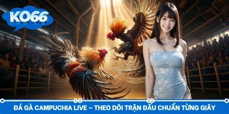Đá Gà Campuchia Live – Theo Dõi Trận Đấu Chuẩn Từng Giây