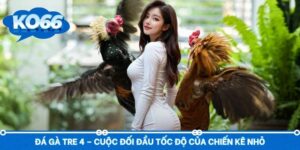 Đá Gà Tre 4 – Cuộc Đối Đầu Tốc Độ Của Chiến Kê Nhỏ