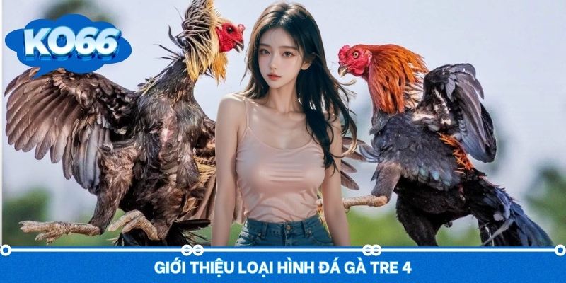 Giới thiệu đá gà tre 4 loại hình vạn người mê