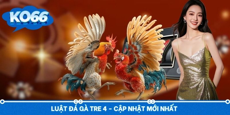 Luật đá gà tre cập nhật mới cho các tân binh
