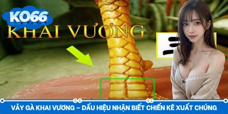 Vảy Gà Khai Vương – Dấu Hiệu Nhận Biết Chiến Kê Xuất Chúng
